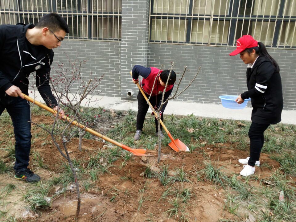 点此在新窗口浏览图片