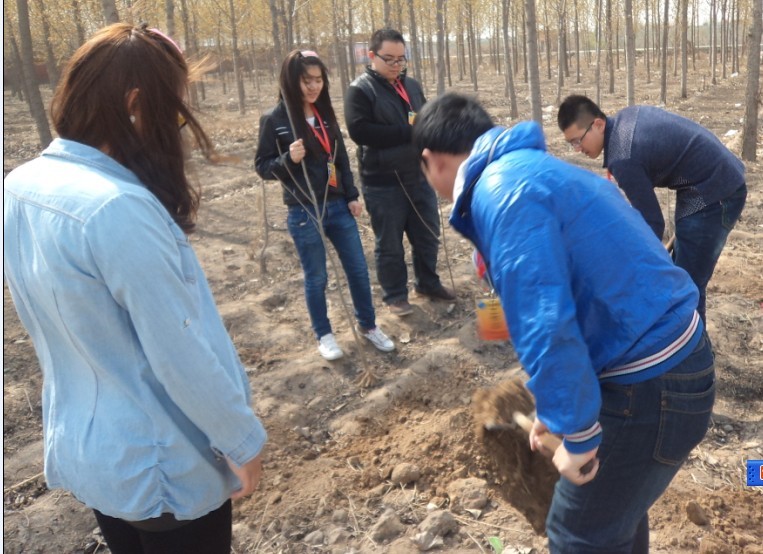 点此在新窗口浏览图片