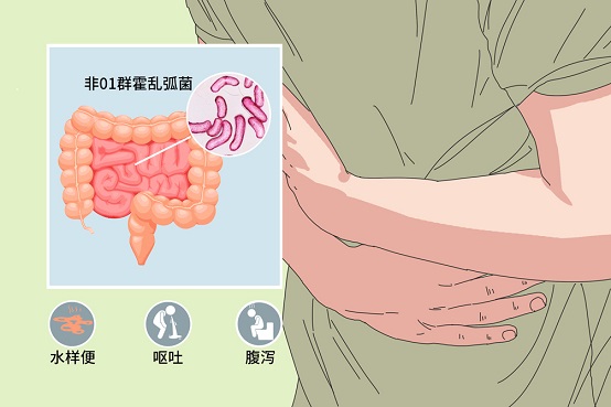 点此在新窗口浏览图片